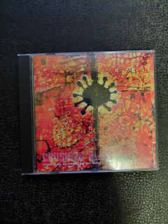 Crushing Bliss - Roman Holý, Ondřej Brousek CD